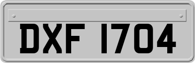 DXF1704