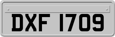 DXF1709