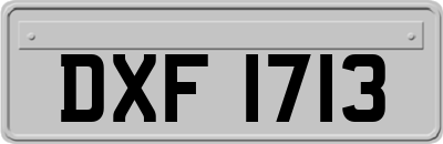 DXF1713