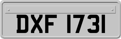 DXF1731