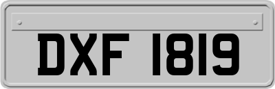 DXF1819