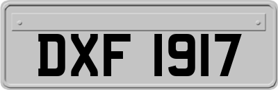 DXF1917