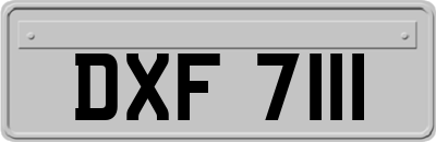 DXF7111