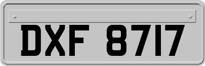DXF8717