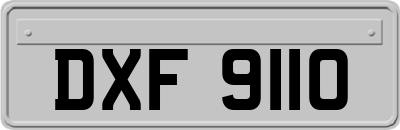 DXF9110