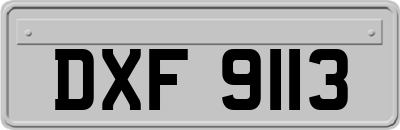 DXF9113