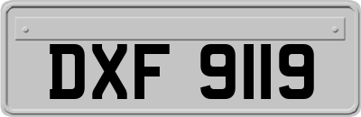 DXF9119