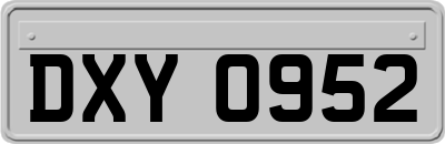 DXY0952