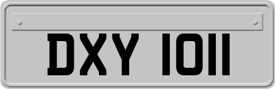 DXY1011