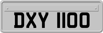 DXY1100