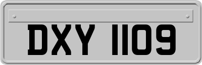 DXY1109