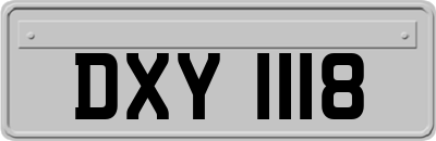 DXY1118