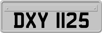 DXY1125