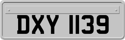 DXY1139