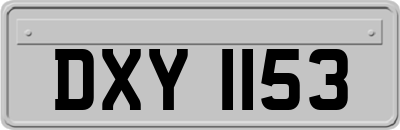 DXY1153