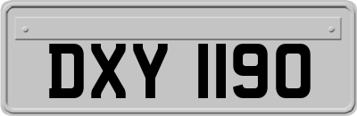 DXY1190