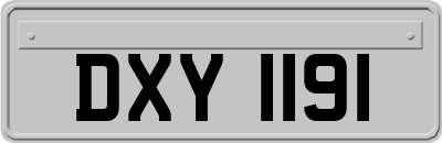 DXY1191