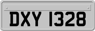 DXY1328