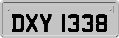 DXY1338