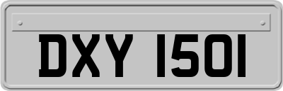 DXY1501