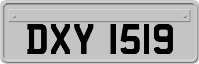 DXY1519