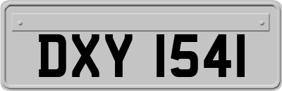 DXY1541