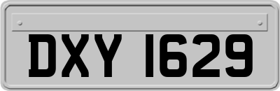 DXY1629