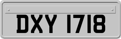 DXY1718