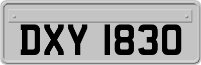 DXY1830