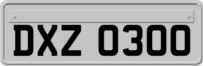 DXZ0300