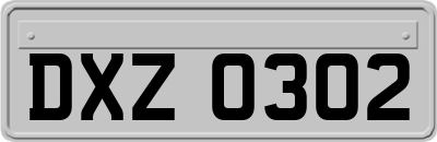 DXZ0302