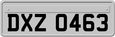 DXZ0463