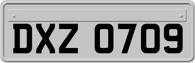 DXZ0709