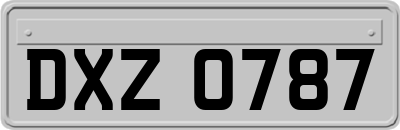DXZ0787