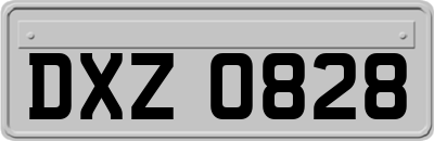 DXZ0828