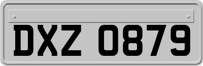 DXZ0879