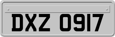 DXZ0917