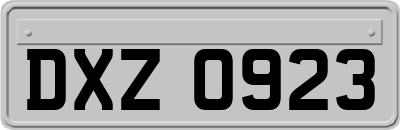DXZ0923