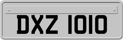 DXZ1010