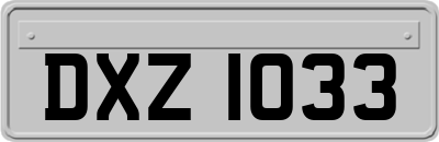 DXZ1033