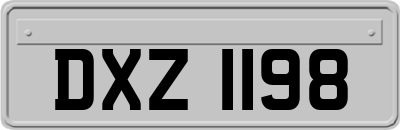 DXZ1198