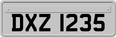 DXZ1235