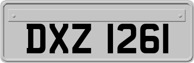 DXZ1261