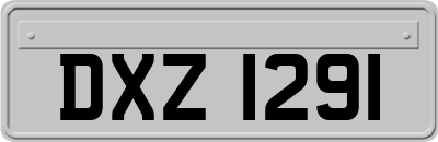 DXZ1291