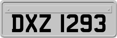 DXZ1293