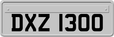 DXZ1300