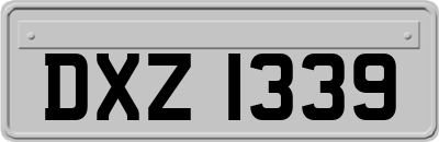 DXZ1339