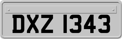 DXZ1343