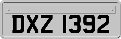 DXZ1392