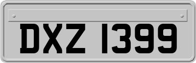 DXZ1399